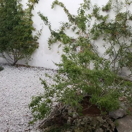 Casa Le Site Con Giardino *