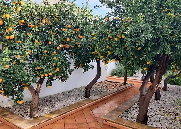 Casa Le Site Con Giardino Hébergement de vacances Palmariggi