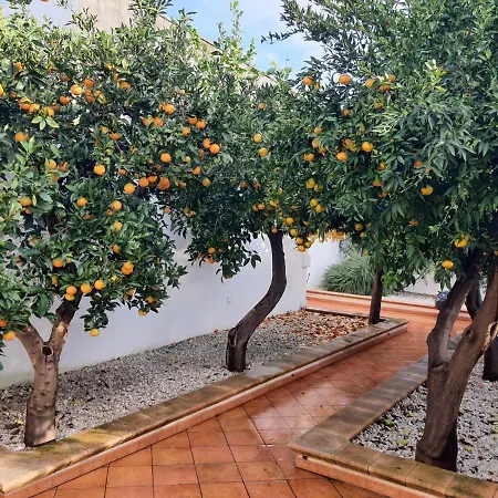 Casa Le Site Con Giardino Holiday home Palmariggi